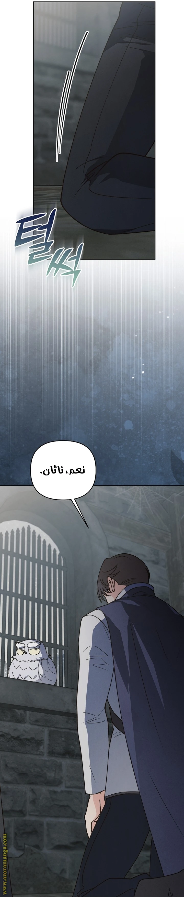 الصفحة 41