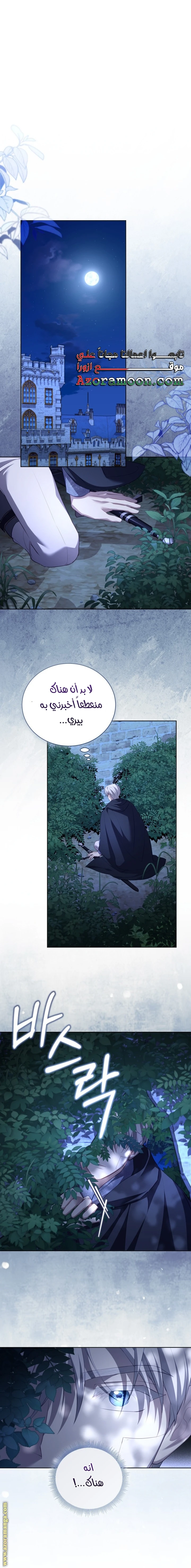 الصفحة 22
