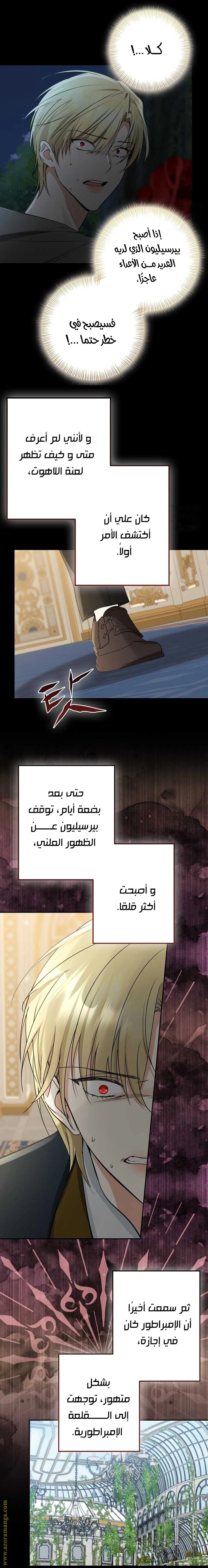 الصفحة 17