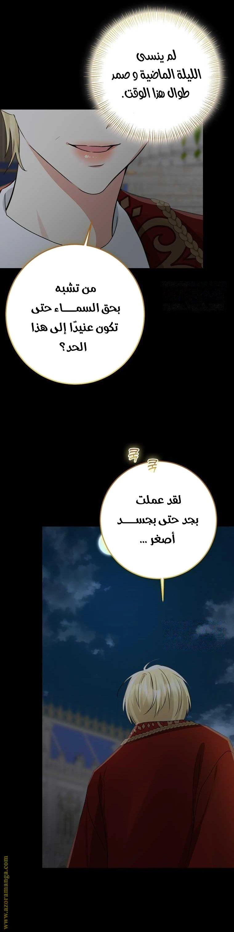 الصفحة 26
