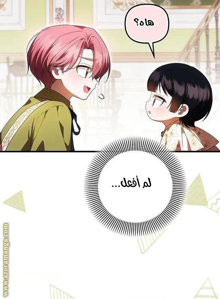 الصفحة 38