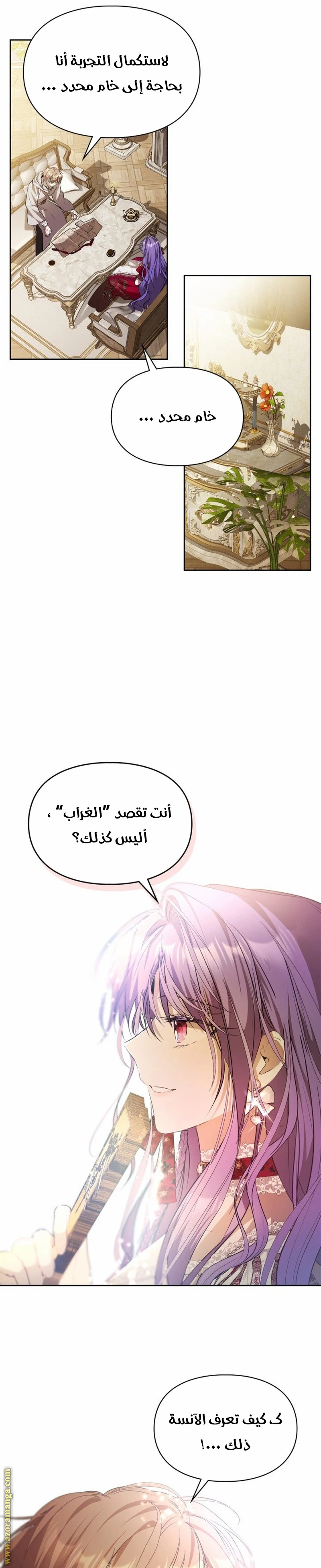 الصفحة 13