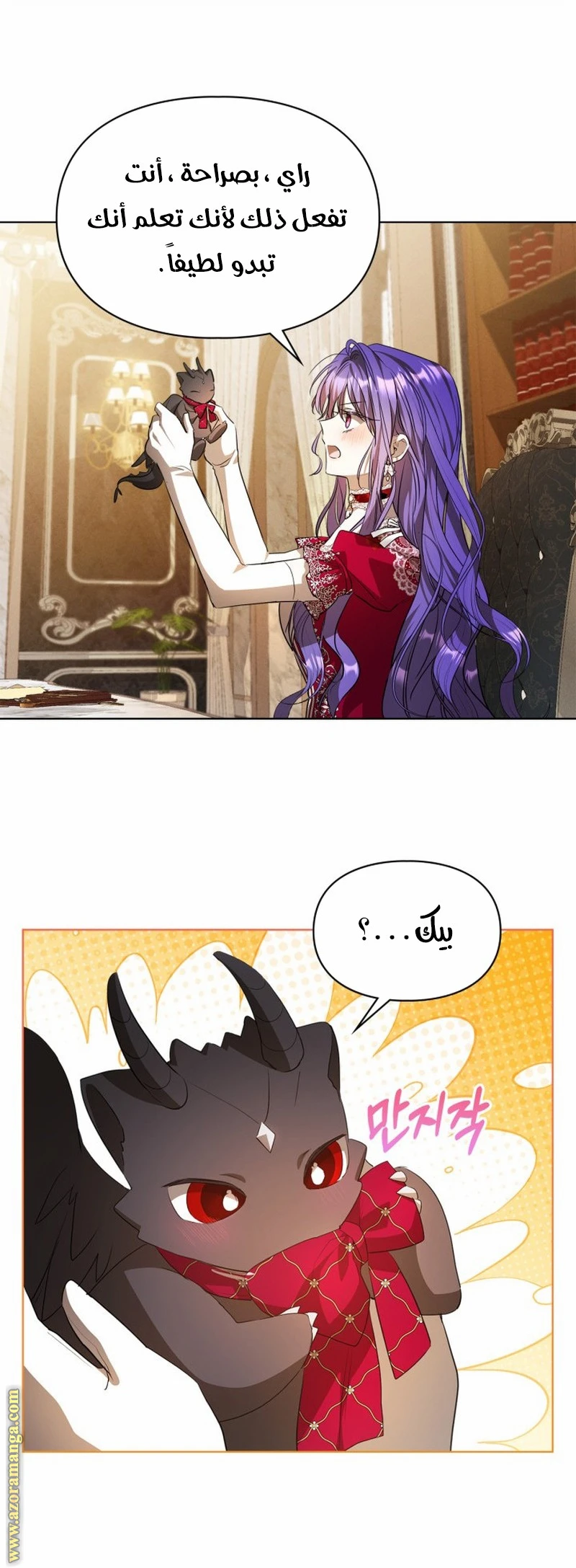 الصفحة 25