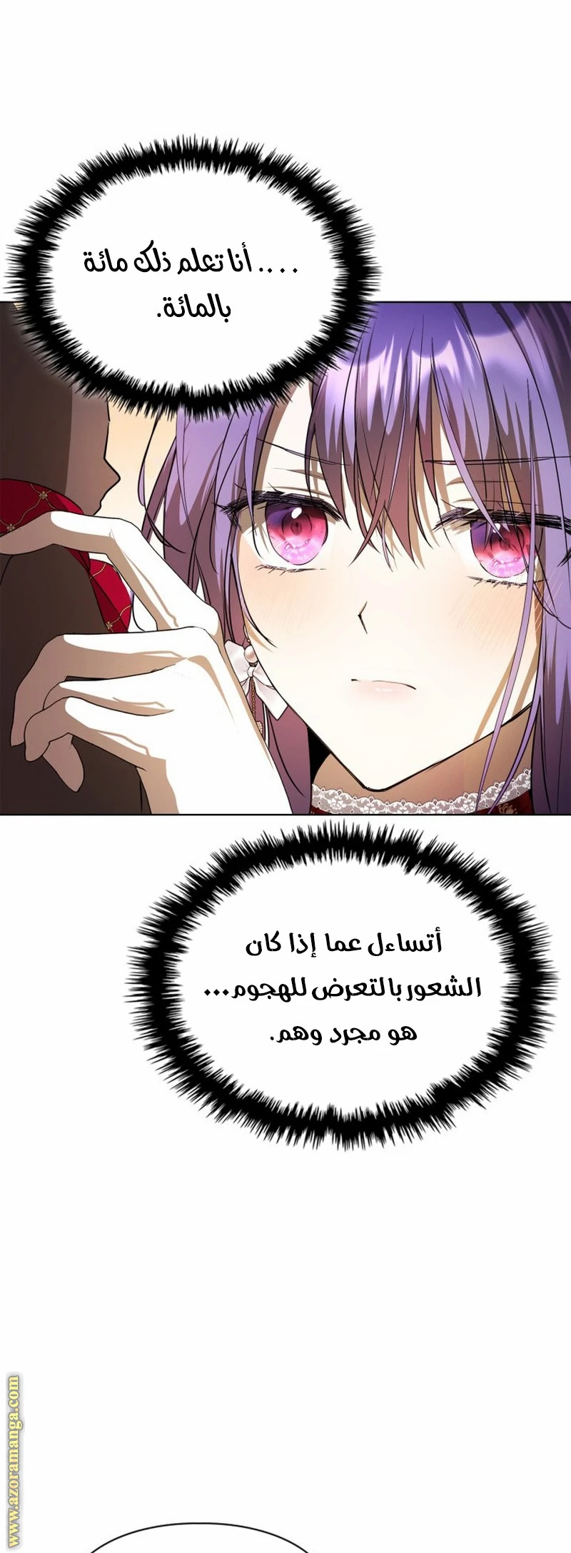 الصفحة 26