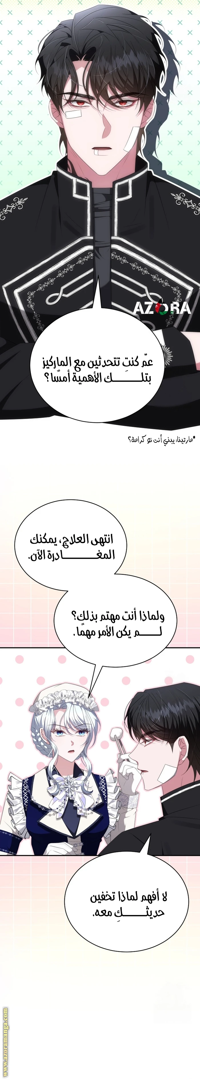 الصفحة 17
