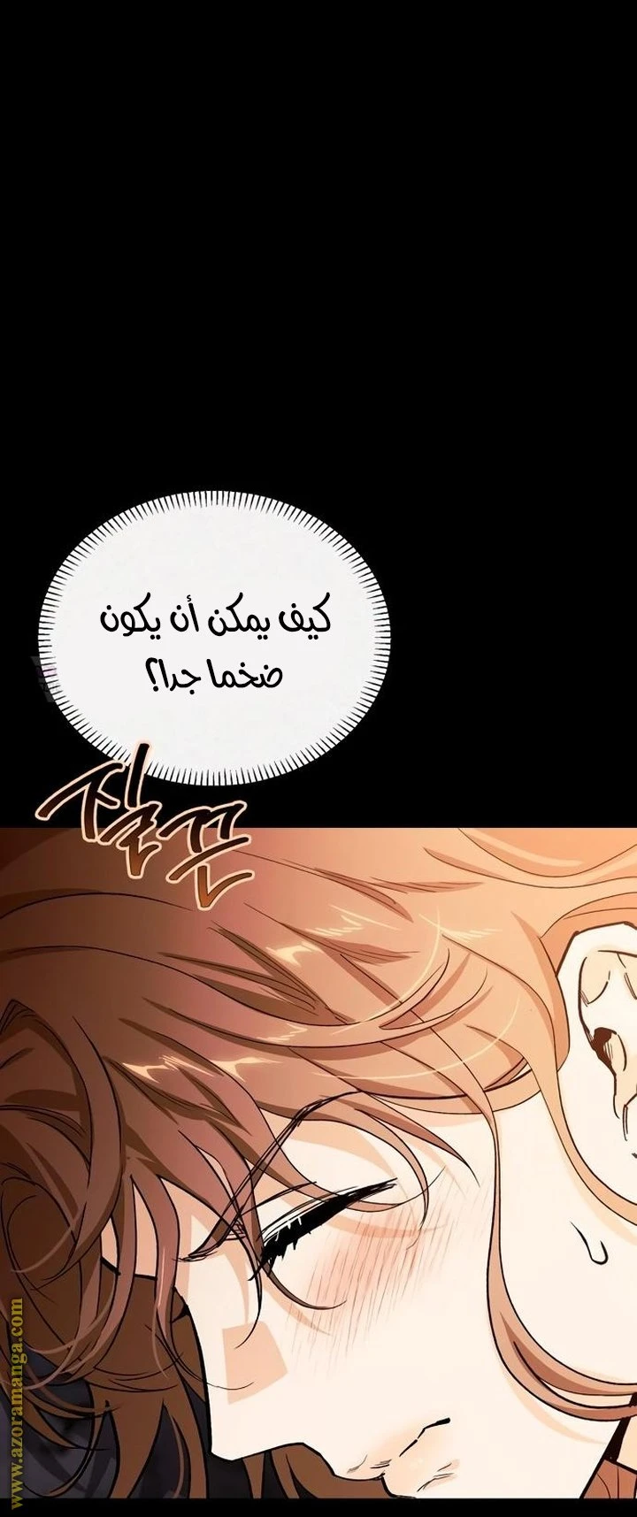 الصفحة 20