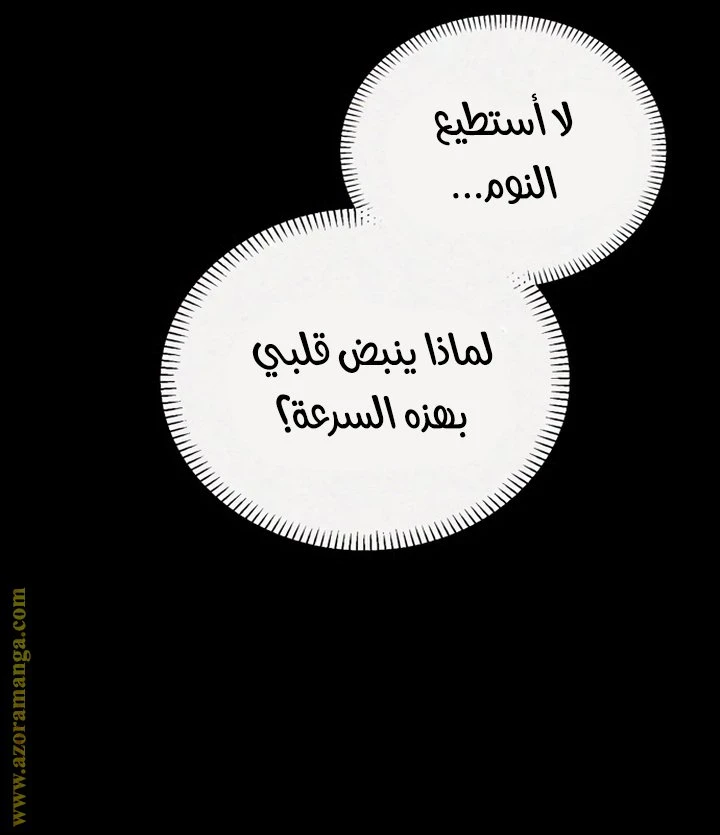 الصفحة 21