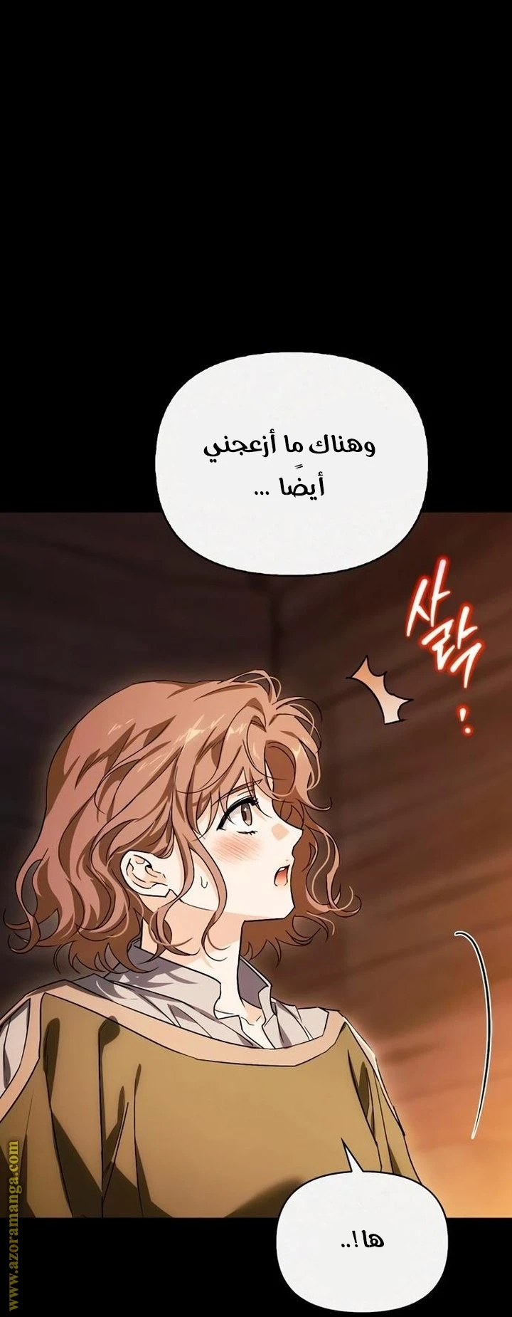الصفحة 29