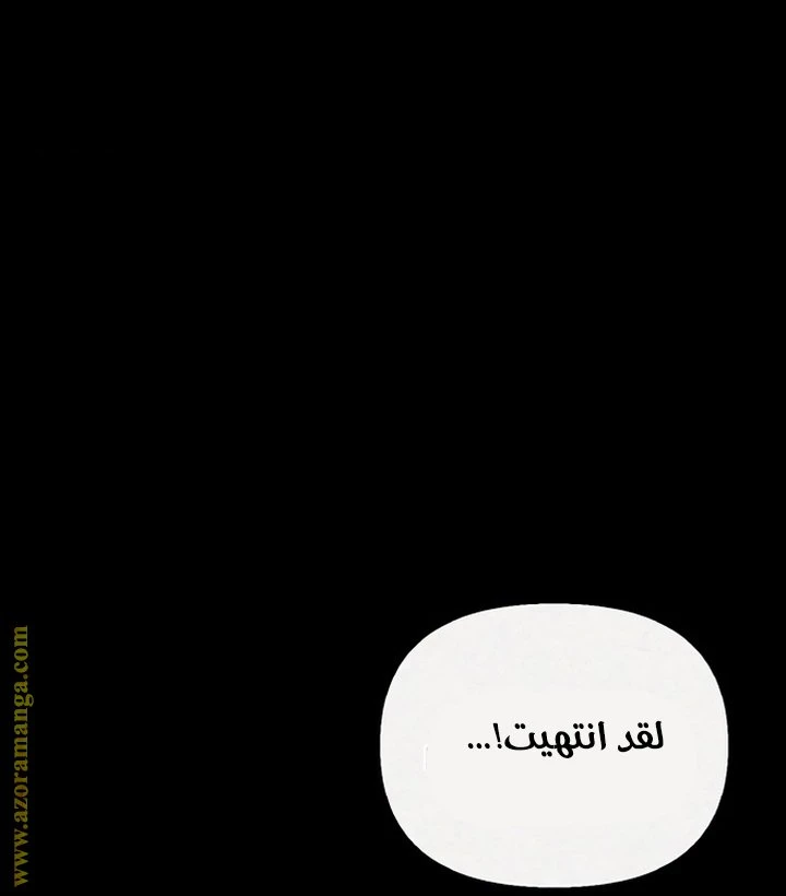 الصفحة 30