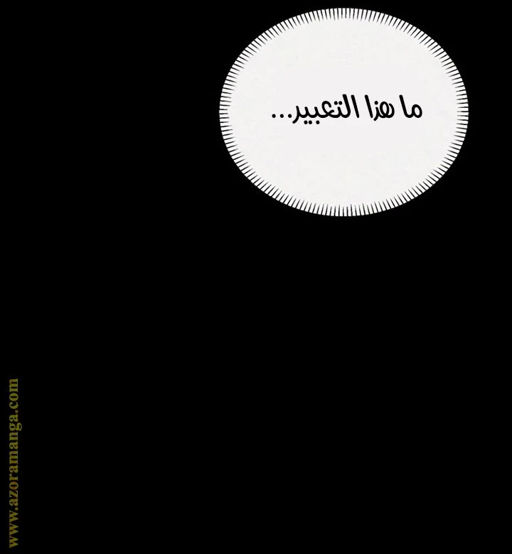 الصفحة 41