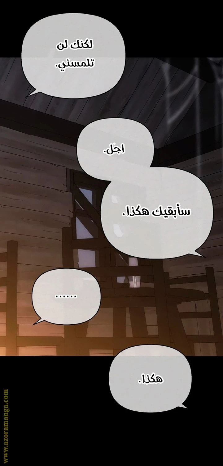 الصفحة 53
