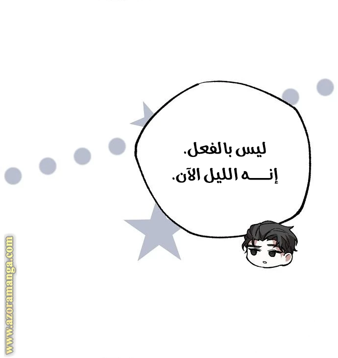 الصفحة 24