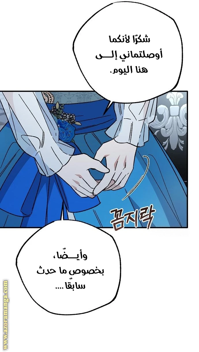 الصفحة 29