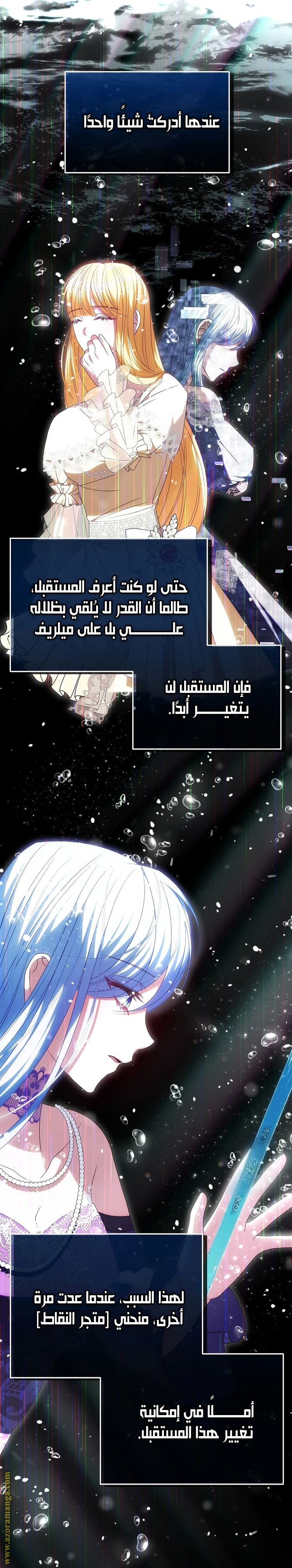 الصفحة 17