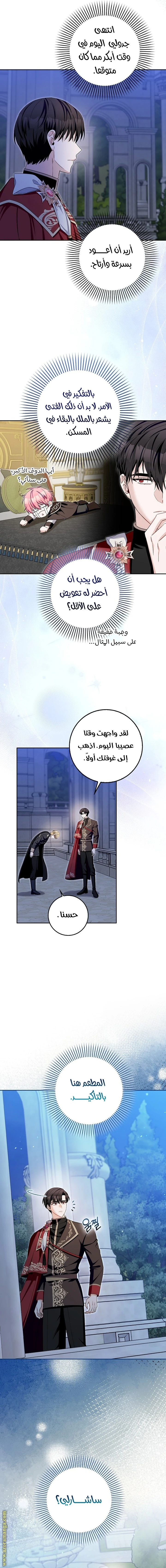 الصفحة 13