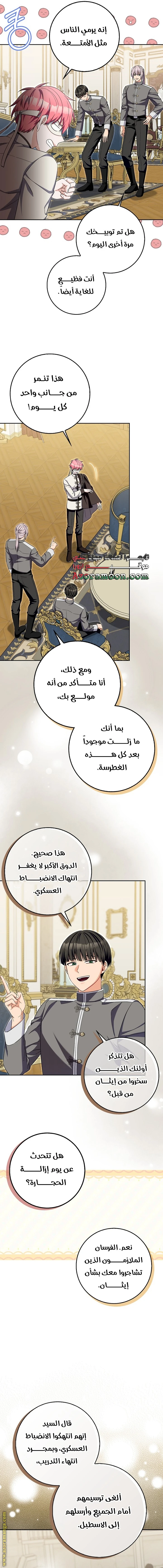 الصفحة 17