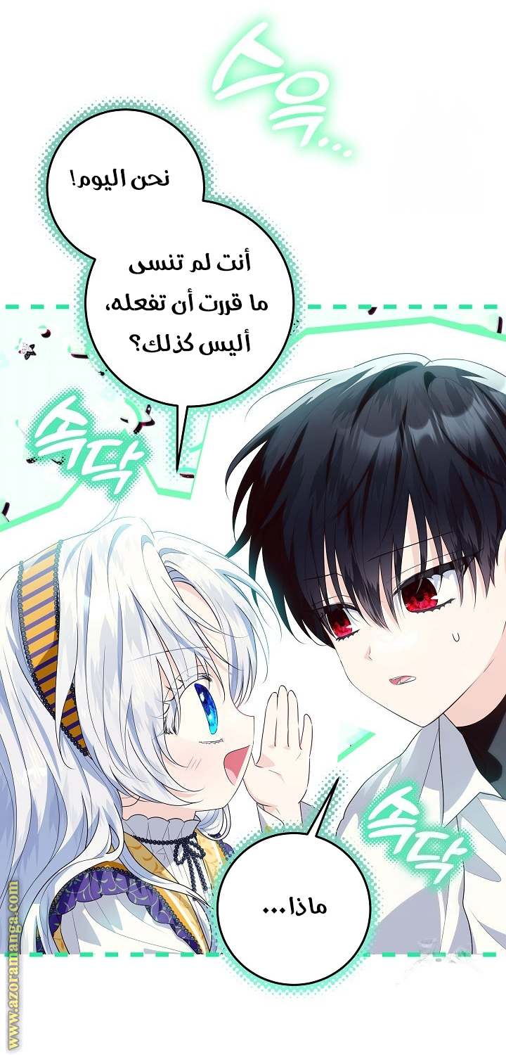 الصفحة 27