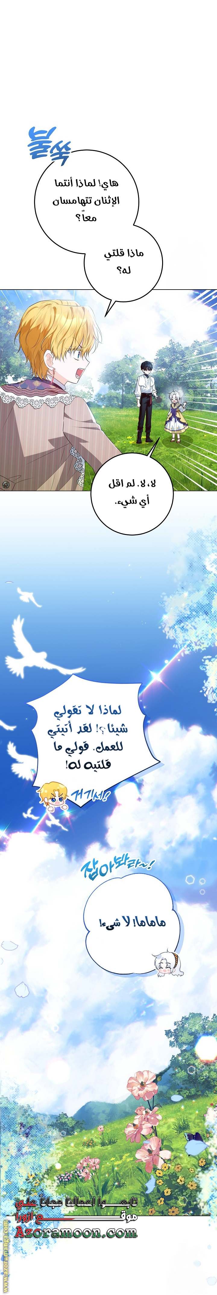 الصفحة 29