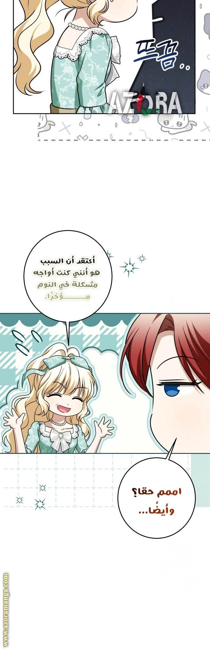 الصفحة 27