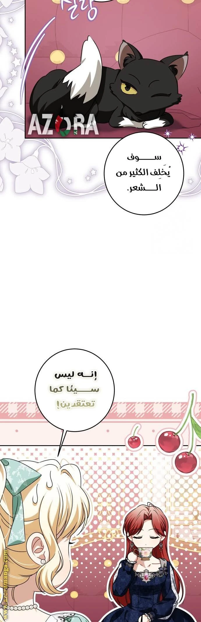 الصفحة 29