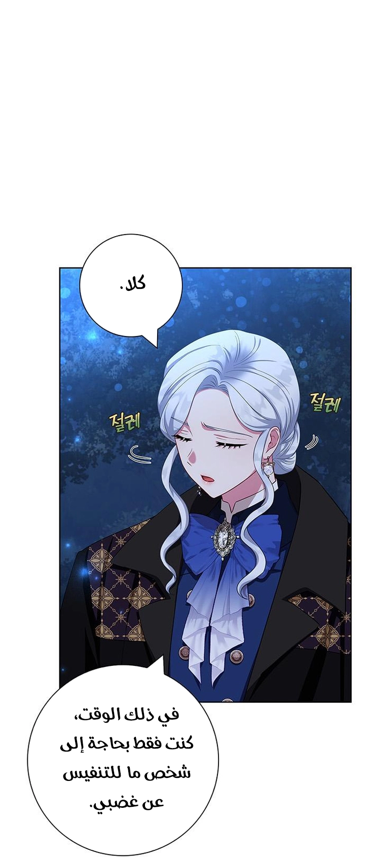 الصفحة 13