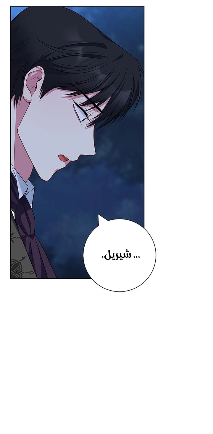 الصفحة 48