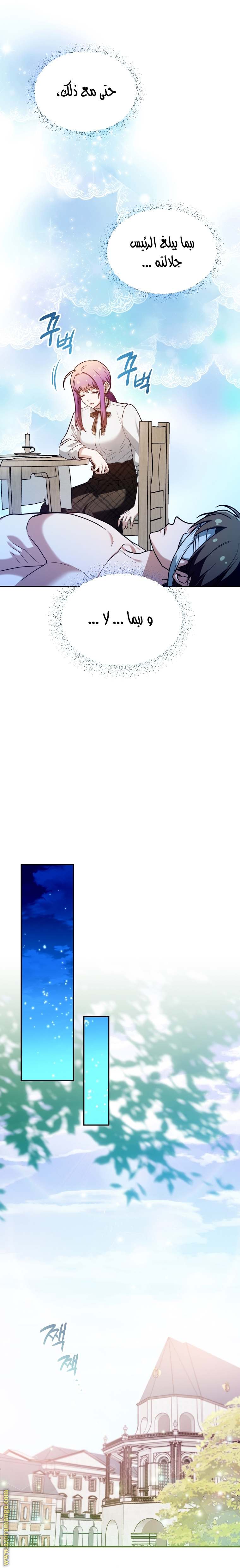 الصفحة 13
