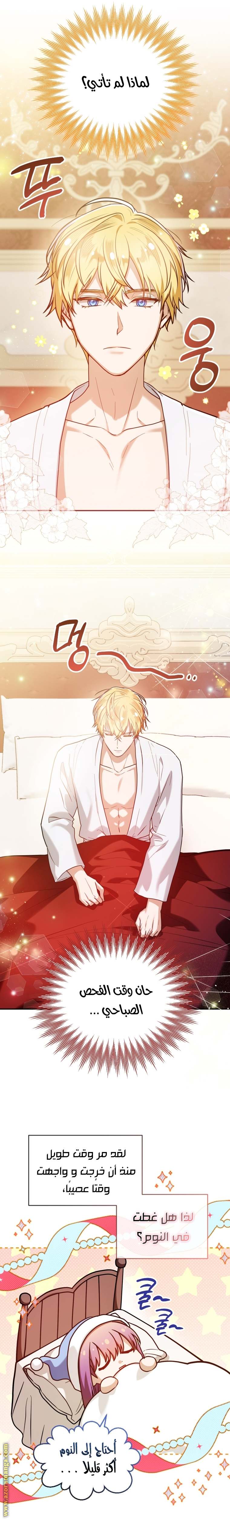 الصفحة 14