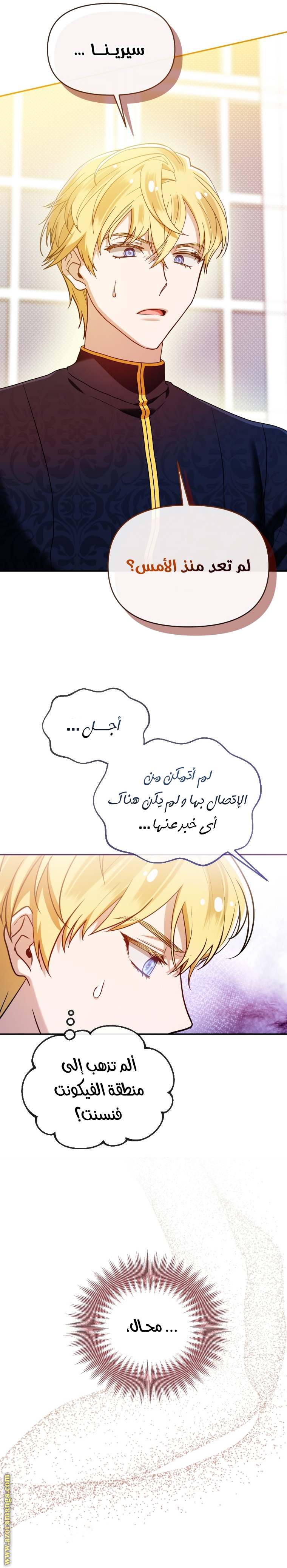 الصفحة 17