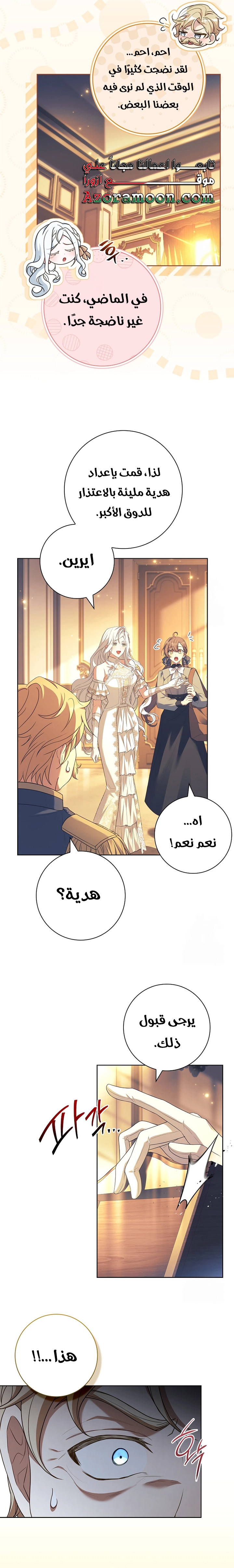 الصفحة 17
