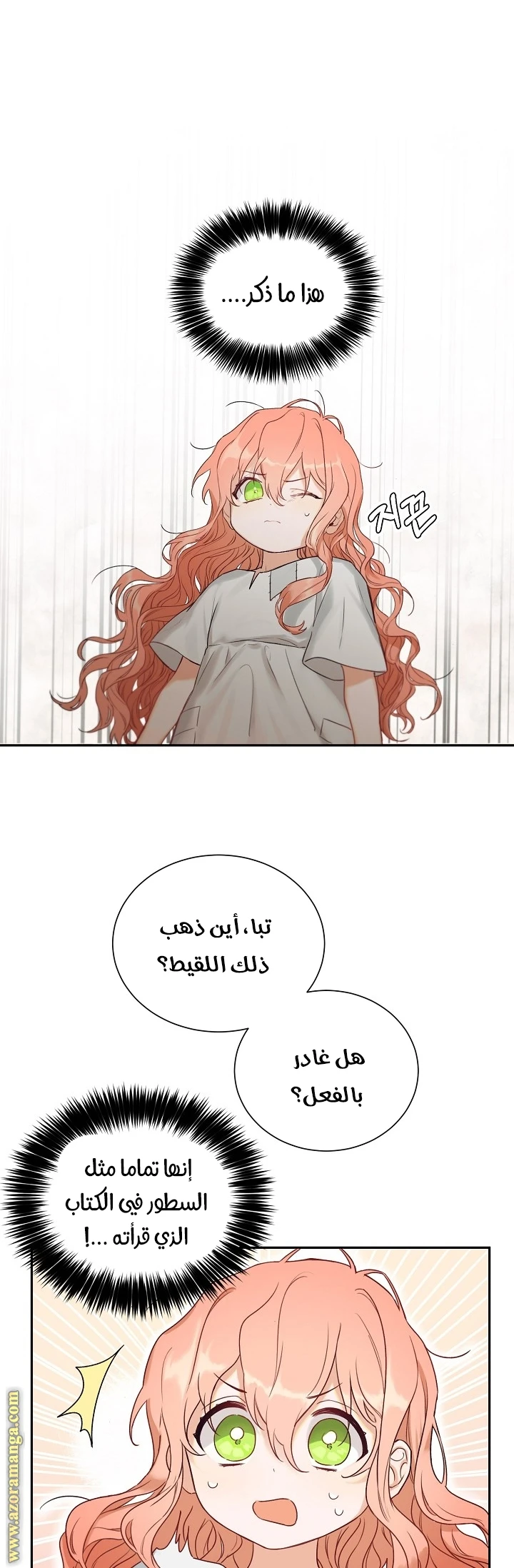 الصفحة 24