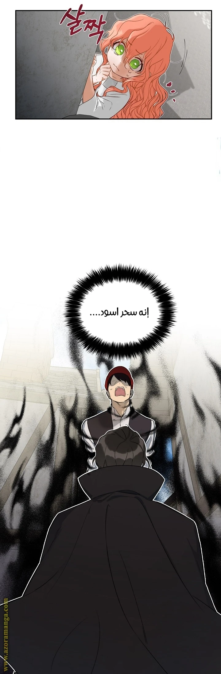 الصفحة 29