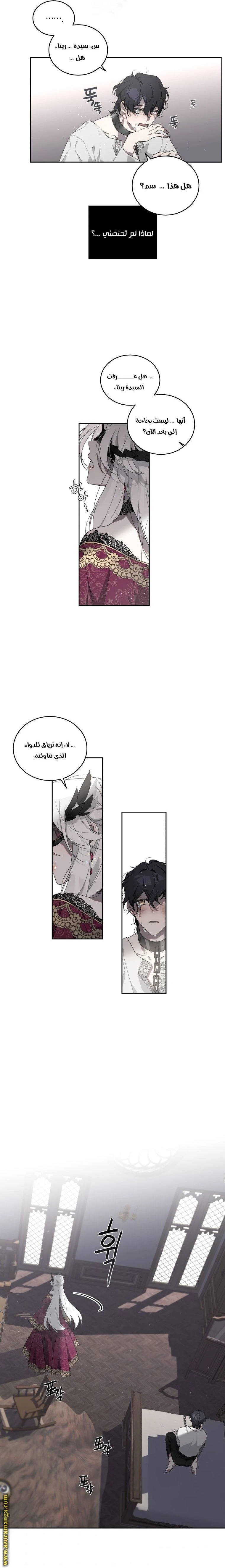 الصفحة 12