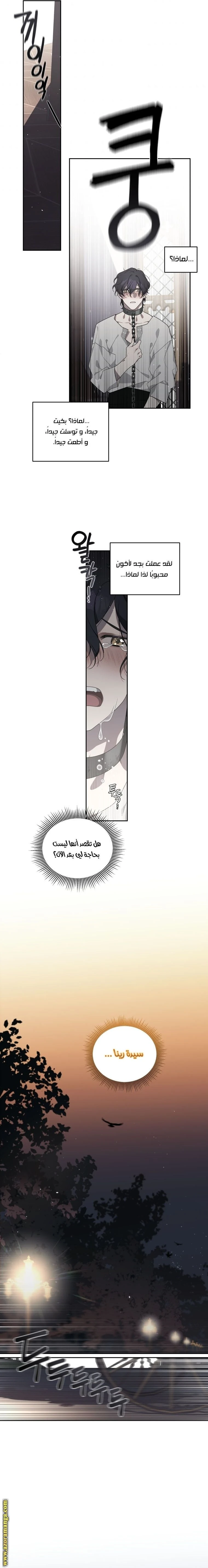 الصفحة 13