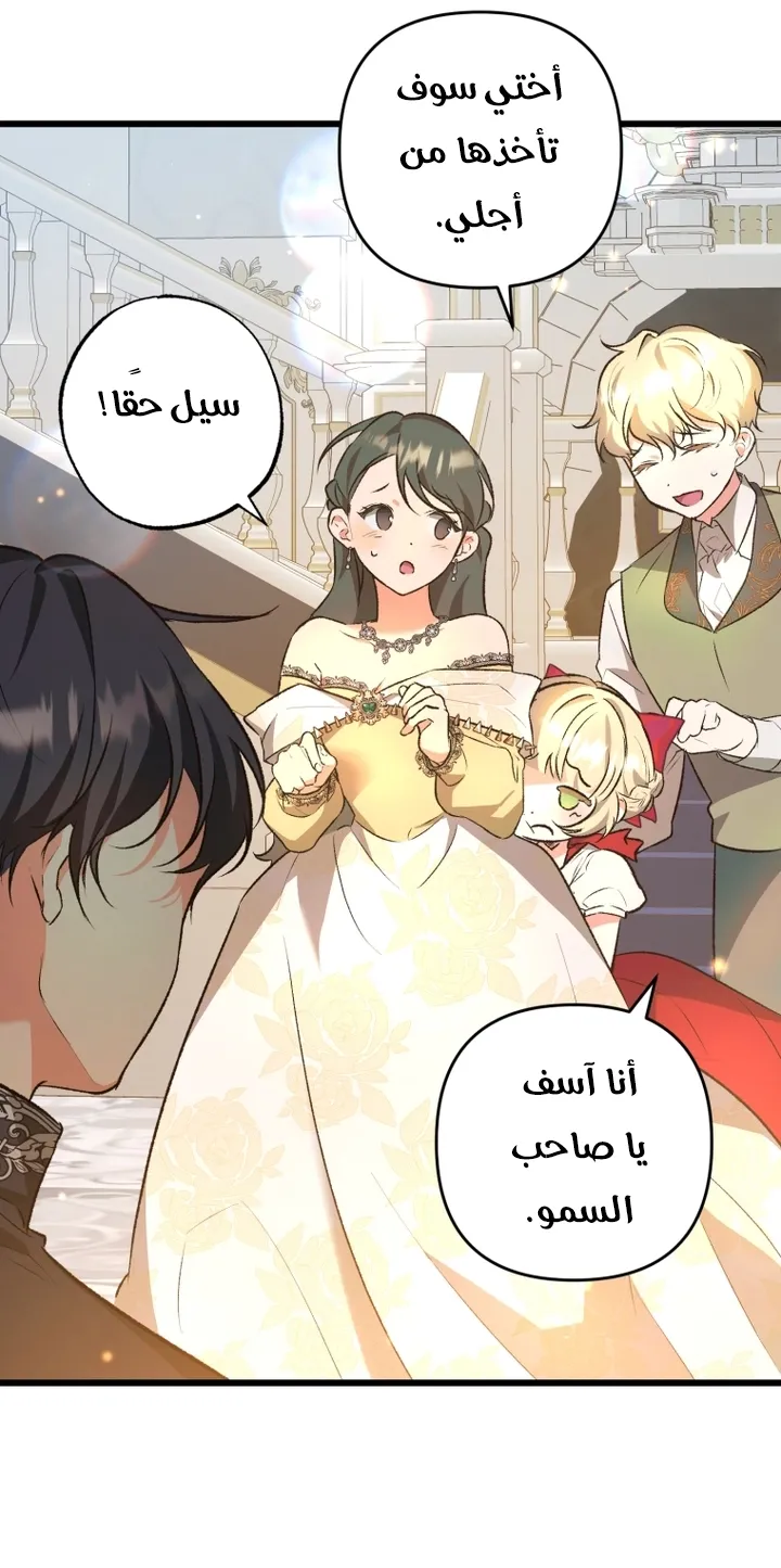 الصفحة 40