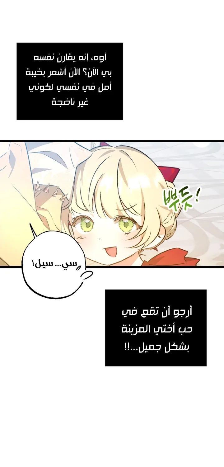 الصفحة 43