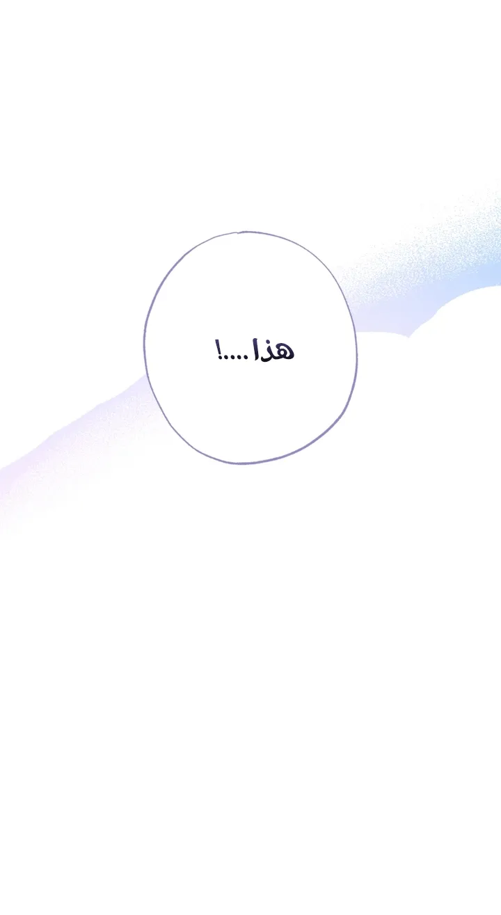 الصفحة 51