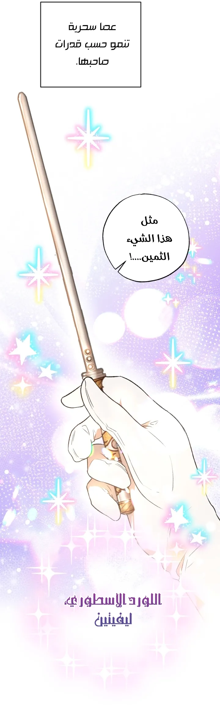 الصفحة 52