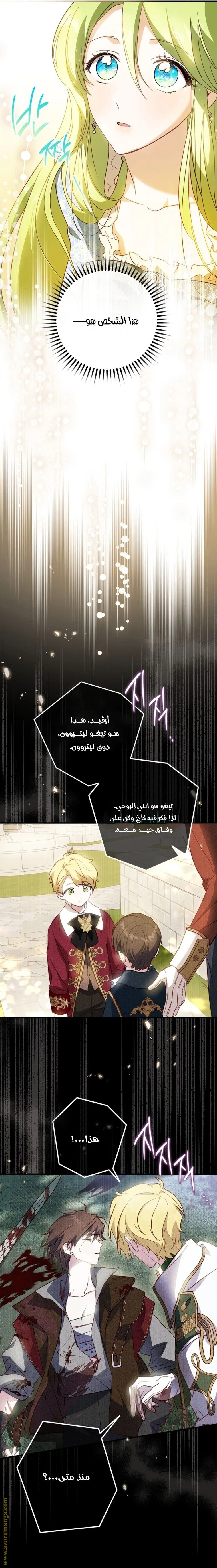 الصفحة 17