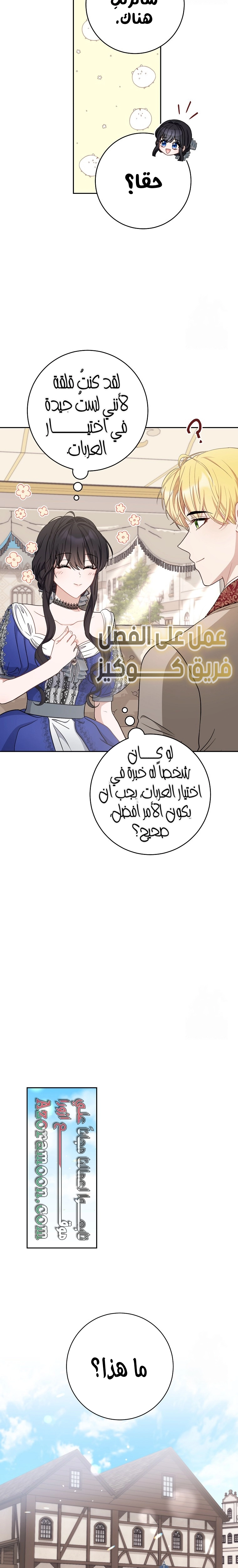 الصفحة 20