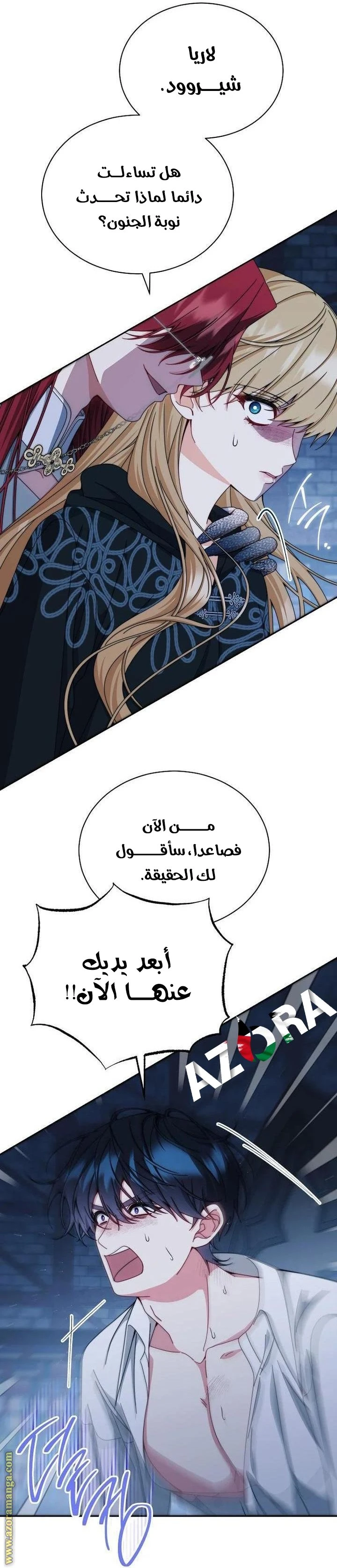 الصفحة 40