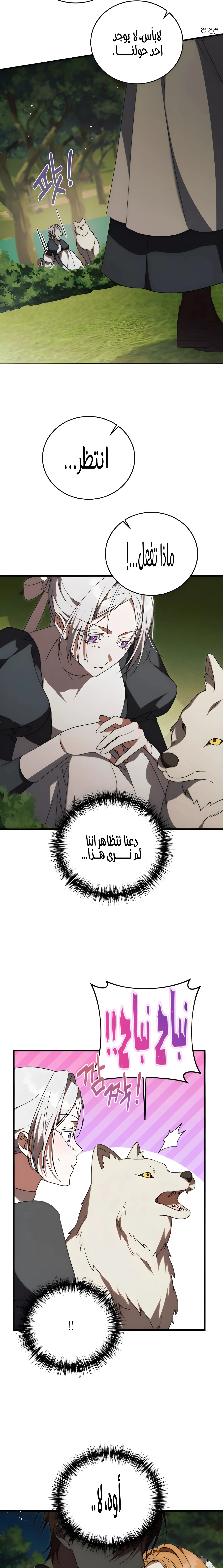 الصفحة 8