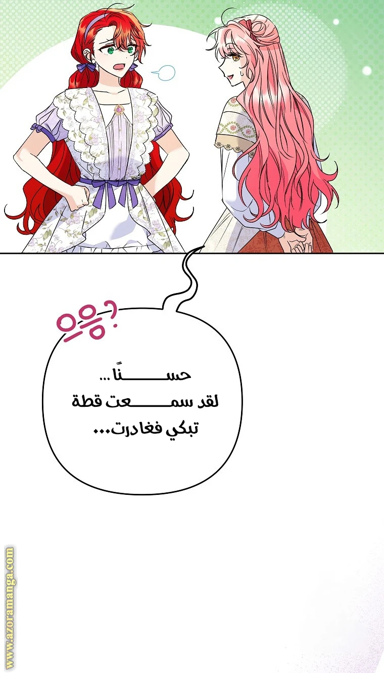 الصفحة 49