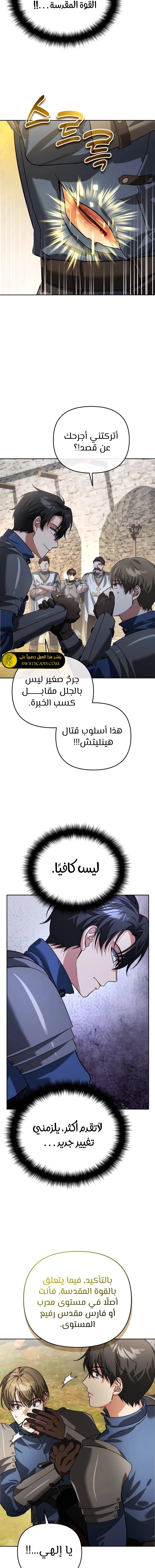 الصفحة 17