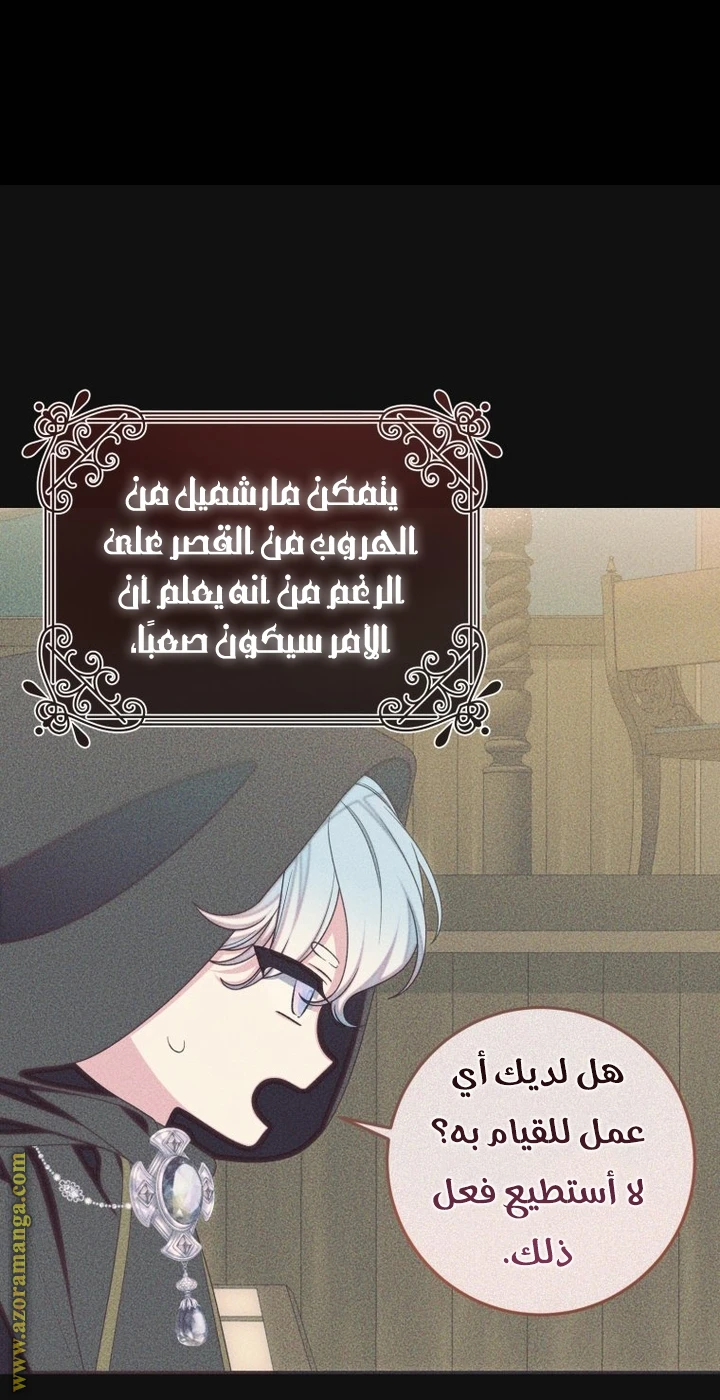 الصفحة 21