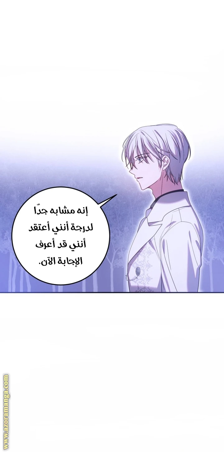 الصفحة 26