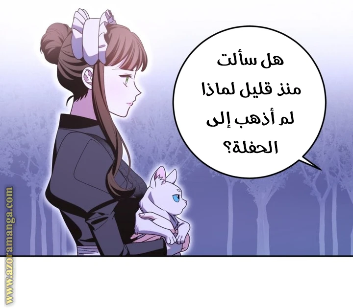 الصفحة 27