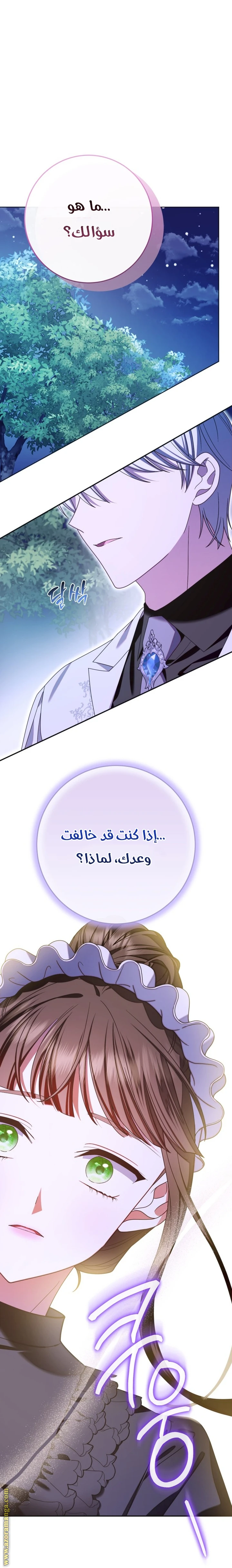 الصفحة 29