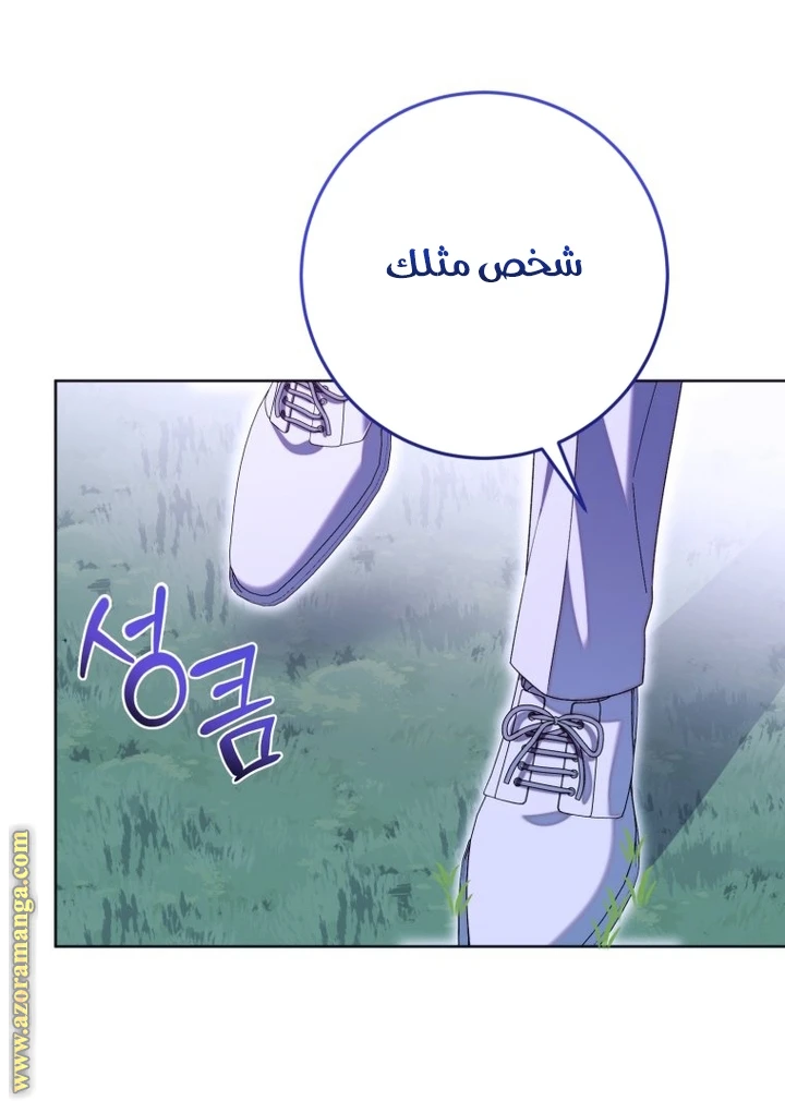 الصفحة 30