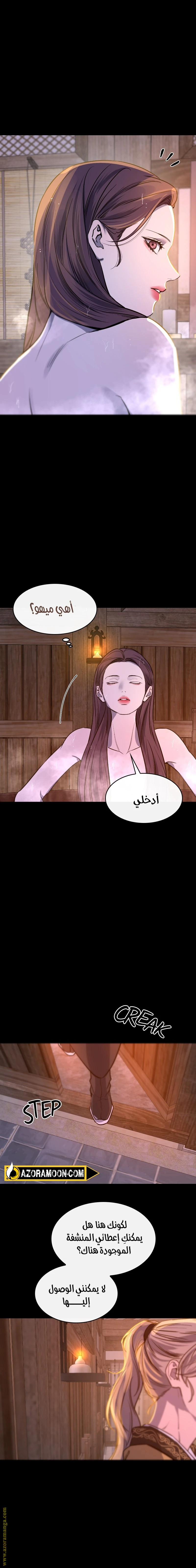 الصفحة 17